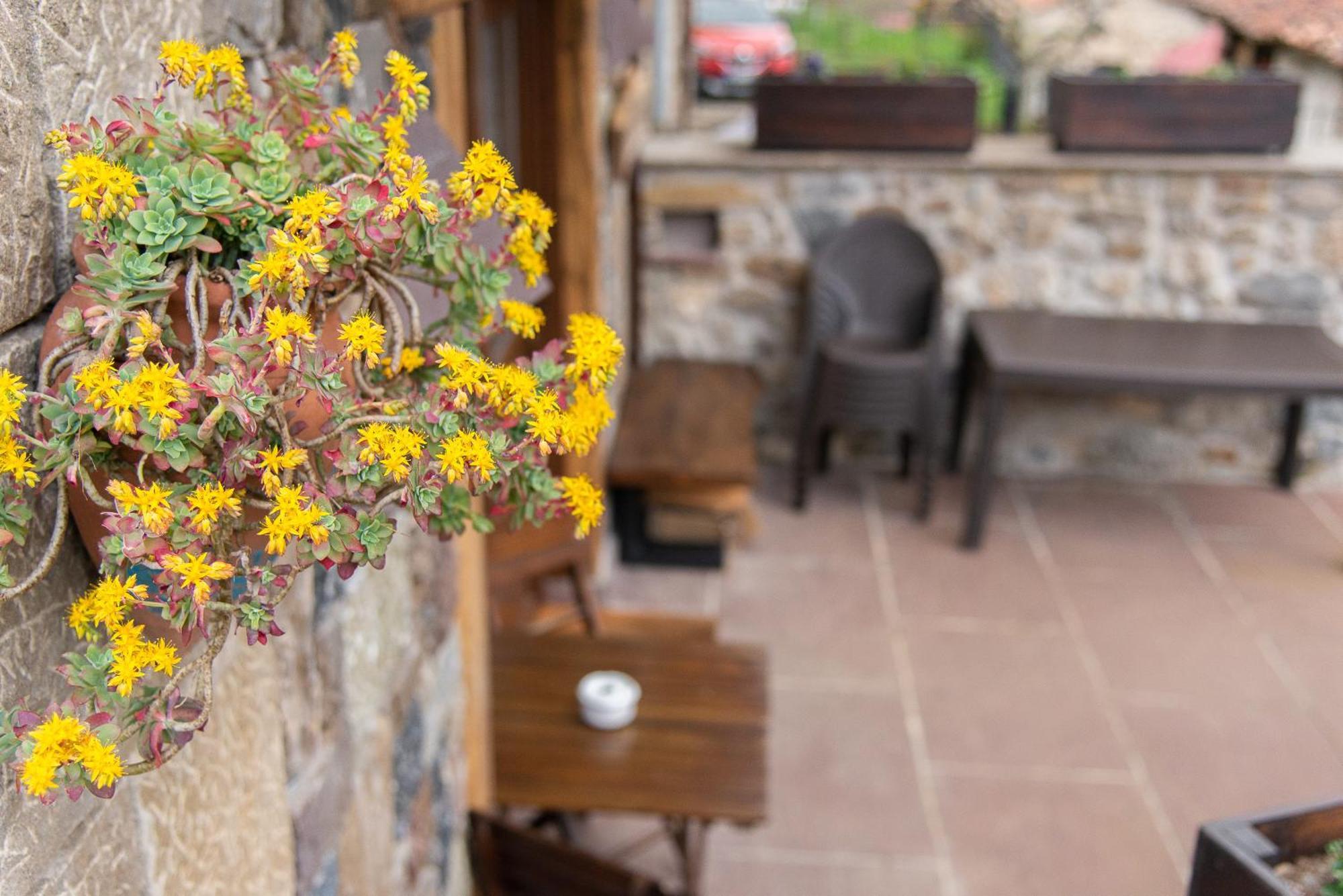 Casa Vacacional La Pedrera Villa Baro  Екстериор снимка